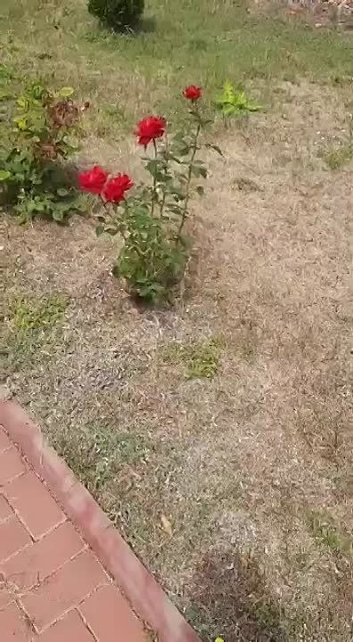 ��������� ��������� ����� �� ������� ������ �������� ��� � �����������