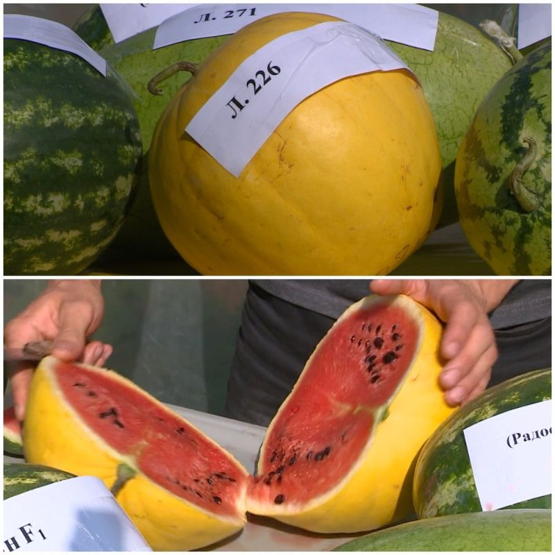 � ������������� ������ ���������� ������ ������