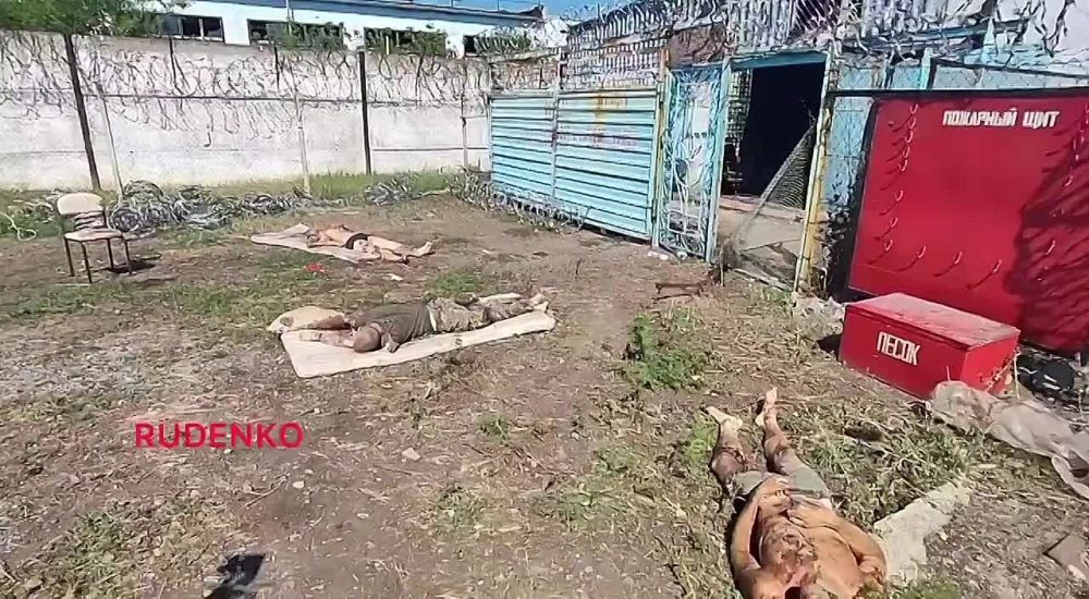 ��������, ����� � ������������ �������� �� ��������, �����������, ������ 18+