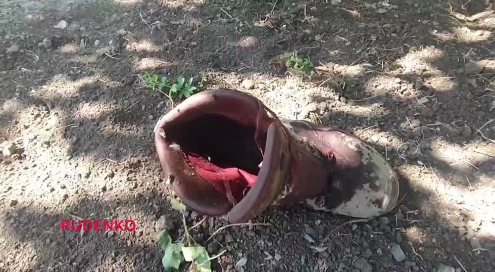 ����� ������ 18+. ����� �� ���������� �������, ��� ��� ������� �������� ����� �� ������� ���� 40 ���������� ������, ������� ���������� � �����