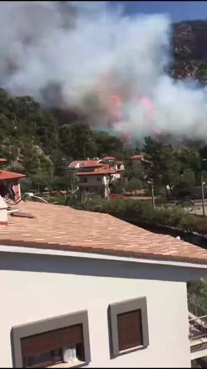 � �������� ��������� ������ ����� ����������� �� �����