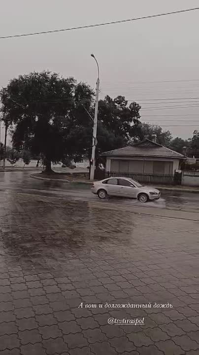 ������������� ���������