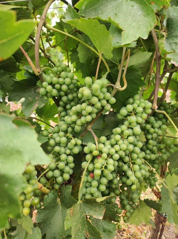 ��� �������� ������ ������� � ������ ����