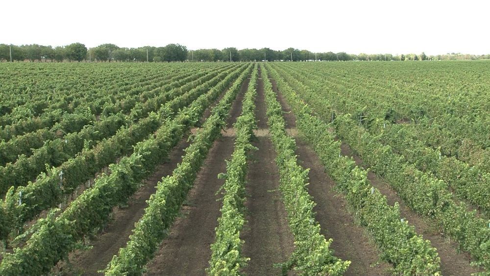 ���������� ������������ �������������� �����-���������� ������ KVINT �������� 30-�����