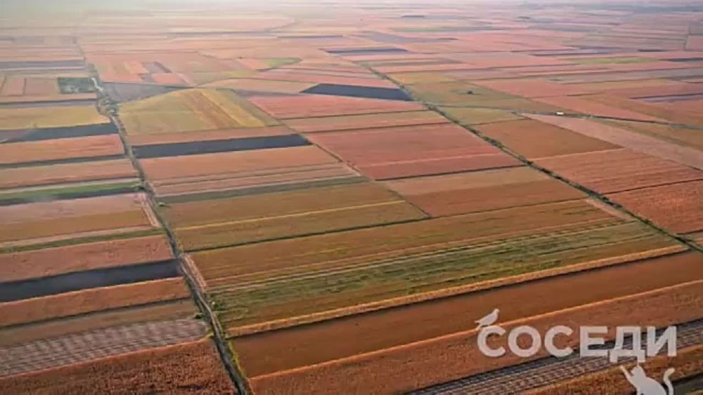 ���������� ������ � ������ ���� �������