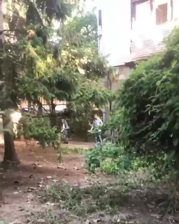 � ������ ����� �����������