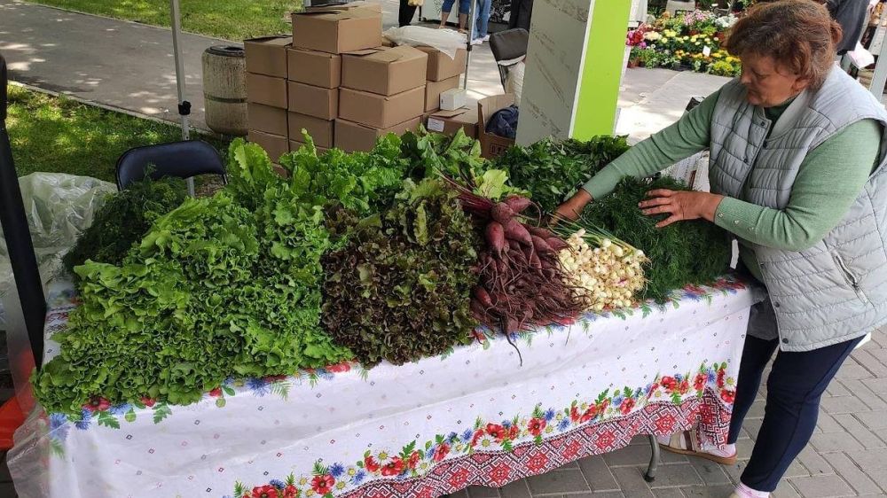 ��� �������� � �����������, 31 ���� 2022, � ��������: ��������, �������, �������� ����� � ������� - ��������� ������ ������