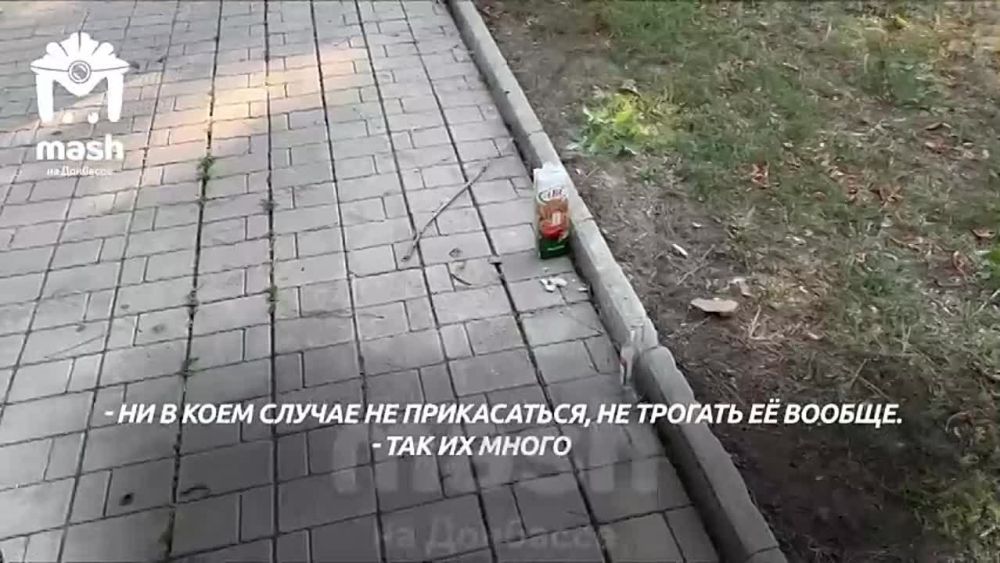 � ������� ����������� ������� �������� ��������������� ����-�������� � ����� � ����, ����� ������������ ��������