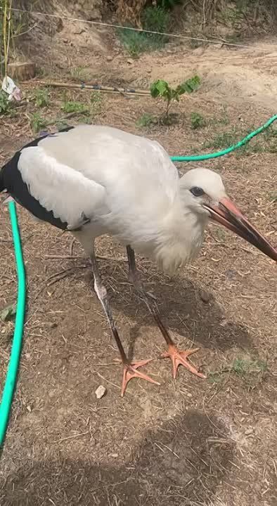 ���� ������ �� �������� � ���������� �� ���������