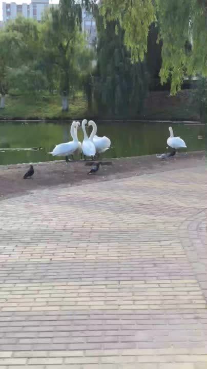 ������� ��������� ������ �������