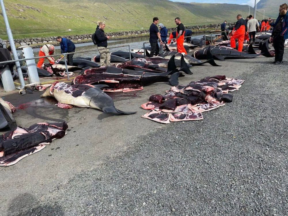 ������ ��������� �������� ����� ����� ����� ��������� �� ����� ���������� �������