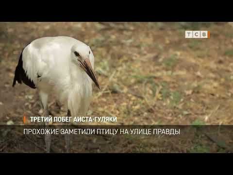 ������� ����� �� ��������� �������� ������ ����. �������� �������� ����� � ��������� �� ����� ������. ���������, ����-����������, � ��� ��� ��� ������ �����. ����������� �����