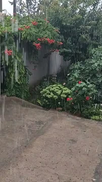 � ������� ����� �������� �������