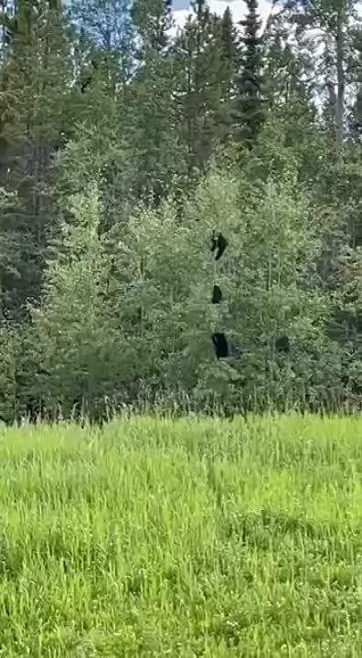 � ������ ��� ���������� ������ ������������ � ��������� �� ������ �������, �� � �����-�� ������ ��� �� �� ��������� � ��������� ������� �� �����