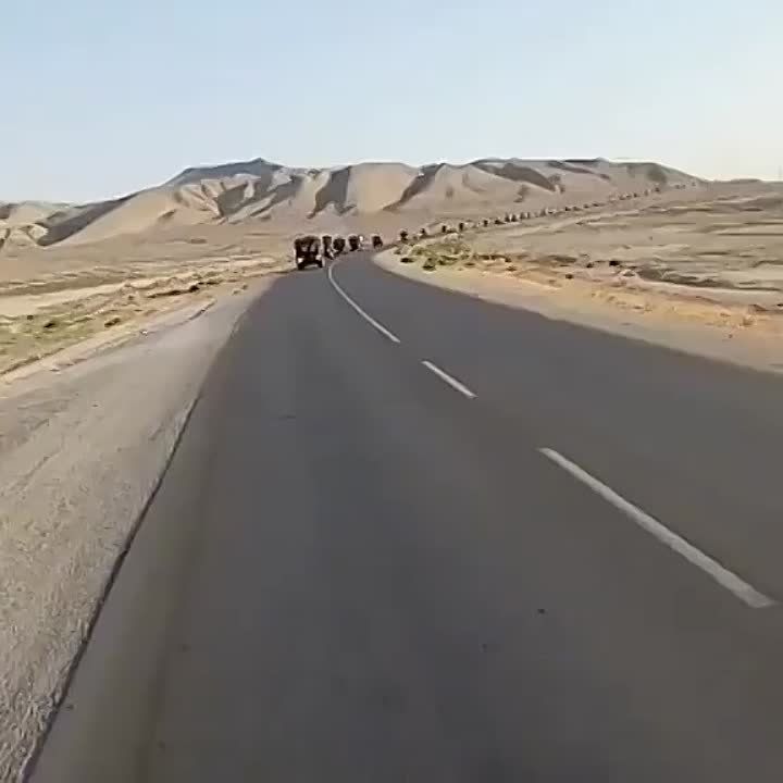 ��������� ������� �������� �� �������� ���������� ������������� �� ������������ ���� ����� ��������������� � �������� �������� �������� ��������� ���������