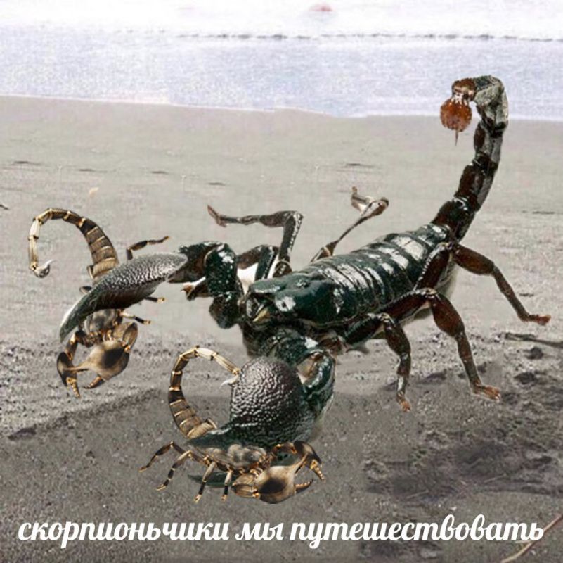 ���������� ������� ��������� ����� �� ������� � �������� � ����� � ���� � �������� 18 ����������