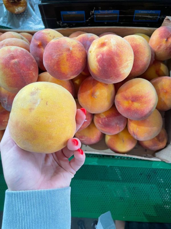 ������ ������ �� 15. ���� ������������� �������