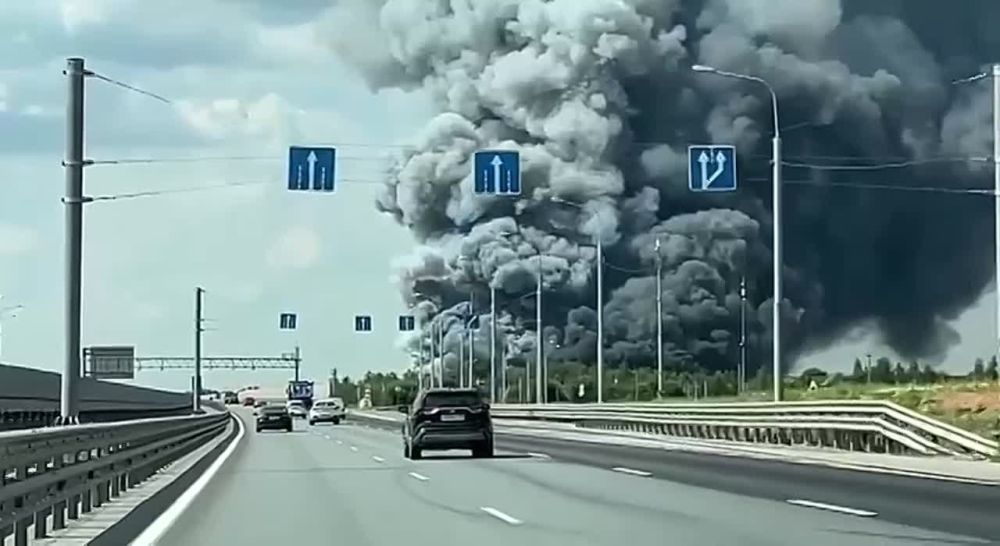 � ���������� ������� ����������� ����� - ����� ����� ��������-�������� Ozon