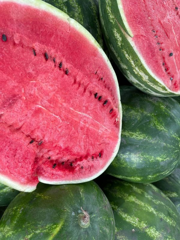 ����������� ������ �� ����� �� 5 ������ �� ���������