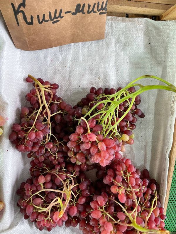 �� ������ ����� �������� ������ ��������