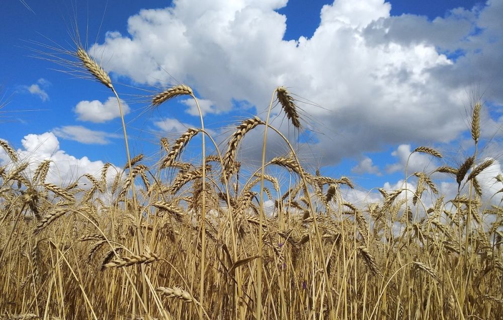 ��� ������� ��������� ����� �� ����� �� � ��, 5 ������� ��������� ���������� ����������, �������