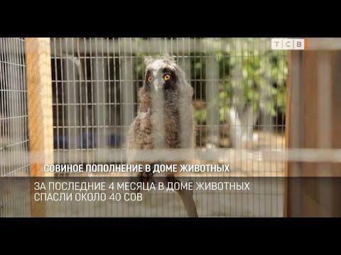 � ������������� ���� �������� ����������. �� ���� ���� �������� ���� �����. �� ��� �� �� ������ ������