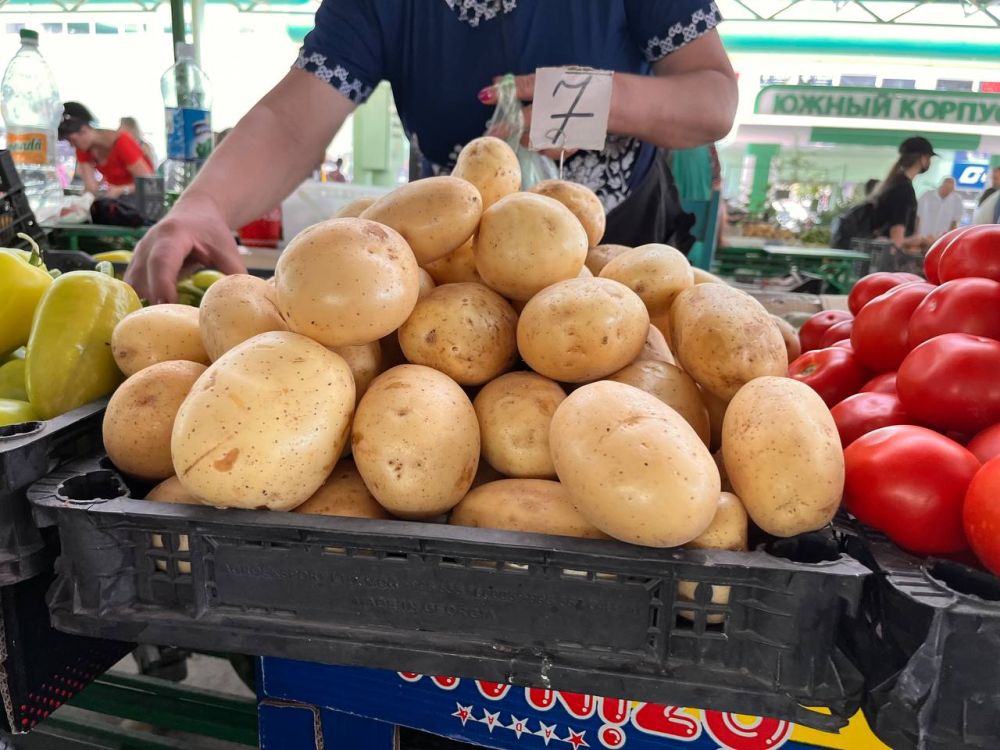 ���� �� ������ �����. �� ��� ����� �������?