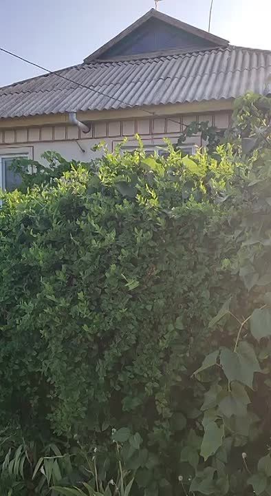 ����� ����� ��������� ������ � �������������