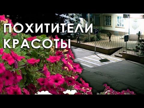 � �������� ������ ��������� ������� � ���������. ���� ������ ���� ������ ����� � ��������, �� �� ����������� �� ����� �����