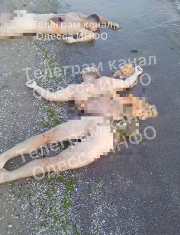 ��� � ���� �������� ������� � ���� �� ������ ������