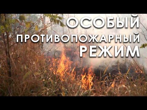 ������ ��������������� �����. �� ��������� ��� ������ �� ���������� ������, ����� ����� � ������ �������� �������� ������ 400 ���. ���������� ����� �������� �����