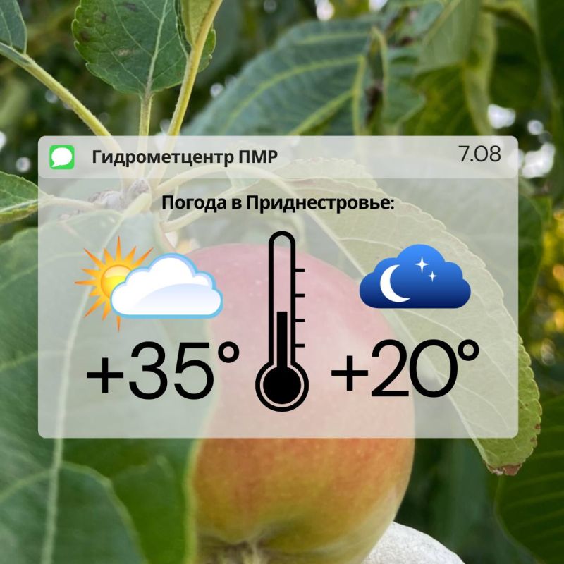 ��������� ���������� ����������, ���� ������� �����, �������� �����