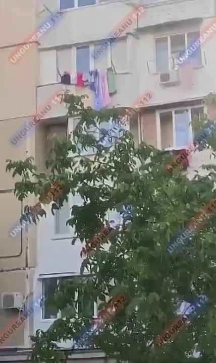 � �������� ������ �������, ������� ��������� ��������� � ����� �����������