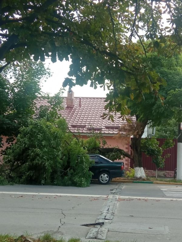 � ���������� ����� ���������� ������ ����� �� ������