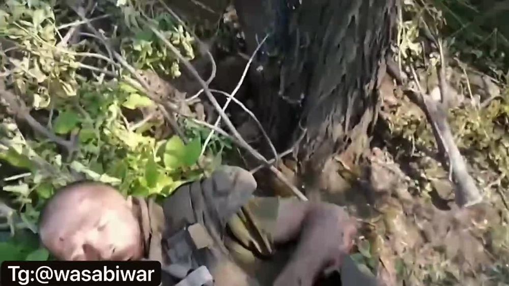 ������� �������. ���������!