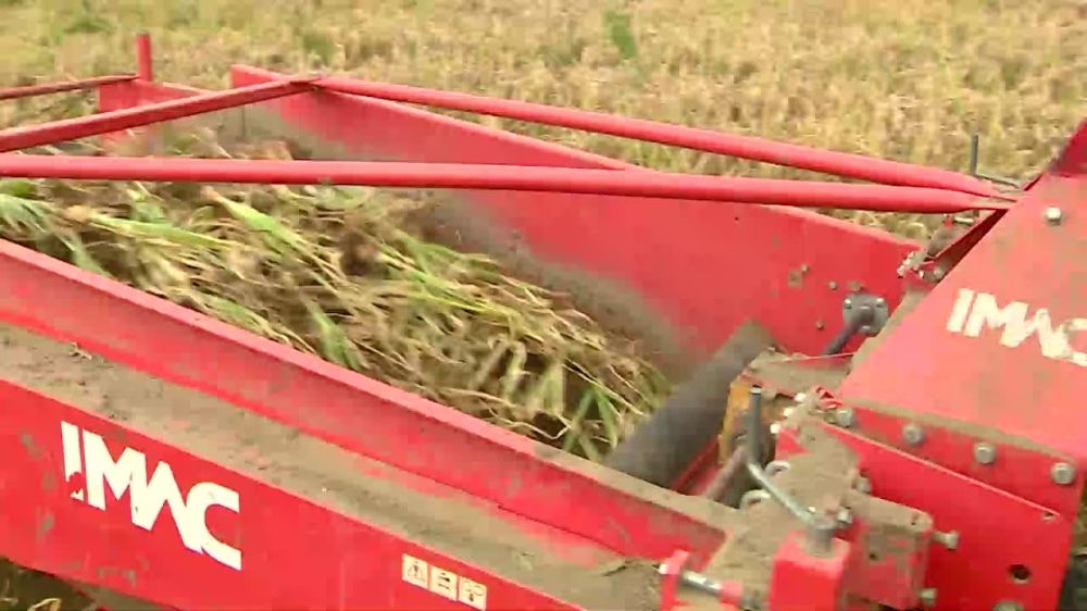 � ���� ���� � ������������� ���� ����� ������� ������ ����