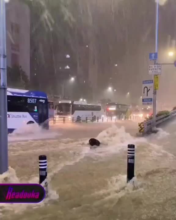 � ����� ����� �����������. �� ���� ���������� ��������� �� ��������� 80 ��� �����. ��������� �� � ������, �������, ������...