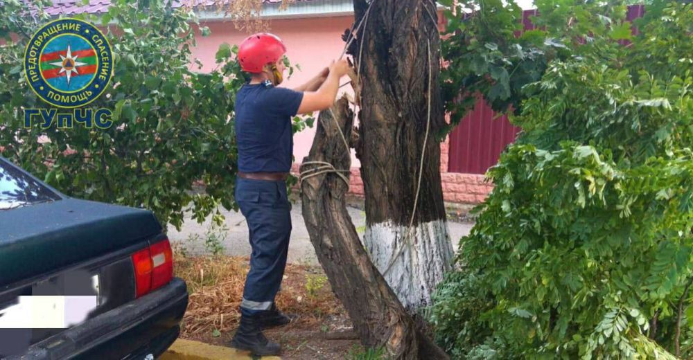 �� �������� ������ ��� ���������