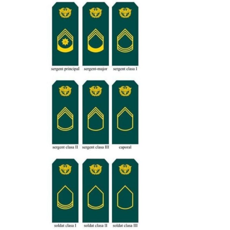 � ������� ������������ ������������ ����� �������� � ����� ����� ��� ��������� � ������