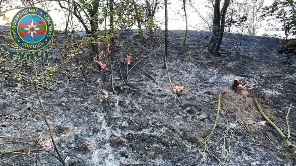 ������� ������ � �������������� ��� �������