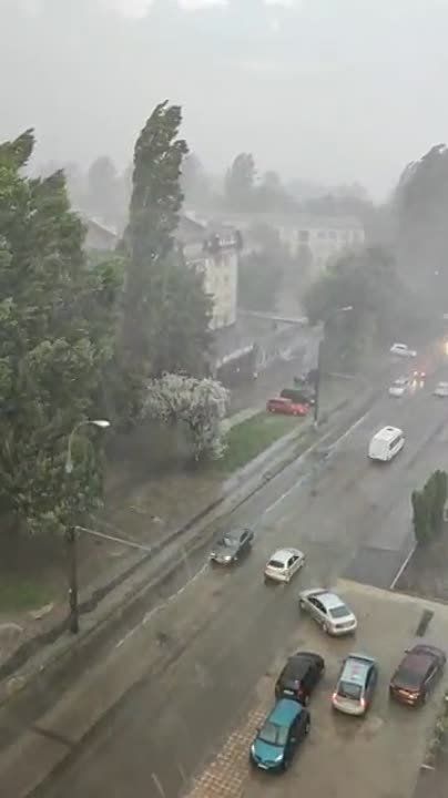 � �������� ����� ����� �������