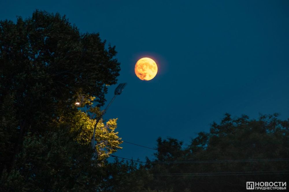 ��������� ���������� � ���� ���� ��� ������, 12 �������