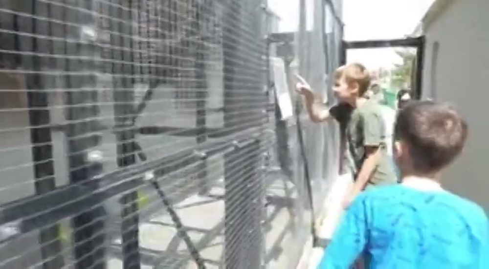 ���������, �����������, ������� � ���������� ���� � �����-����� ��� �����-�������� � �������