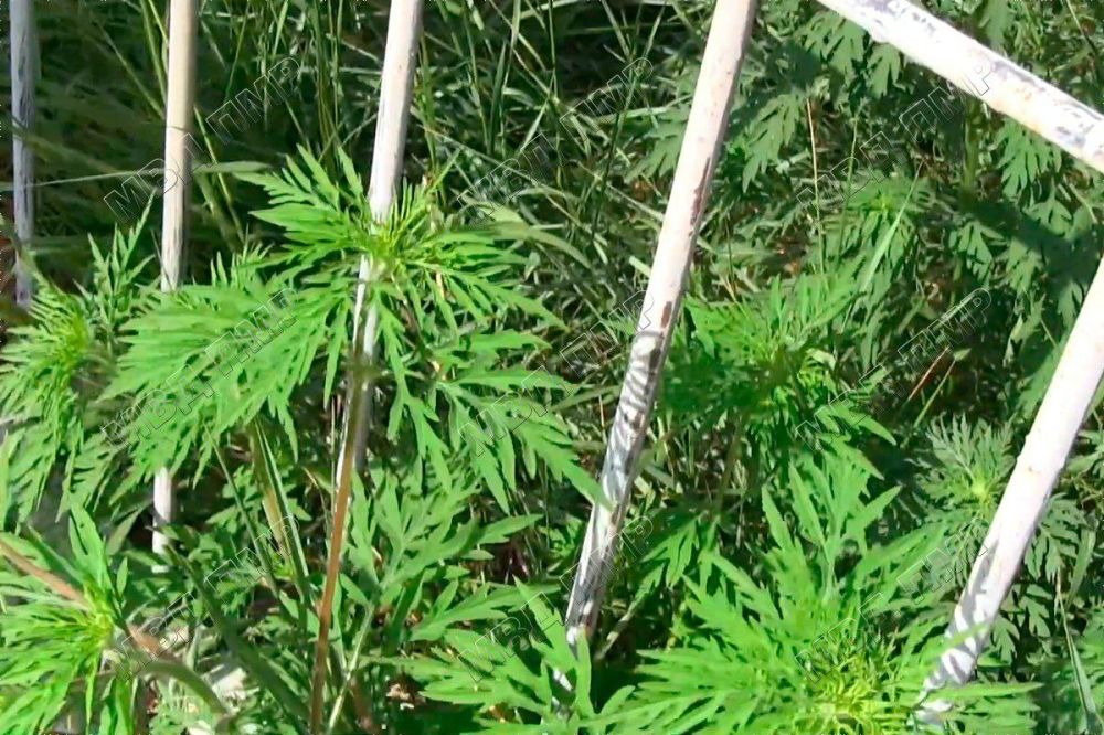 ������ � ��������� ������������