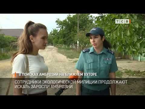 ���������� ������������� ������� ���������� ������ ��������. ������� ���� �� ������� ������. ����������� �������. � ���� ����������� � ������� ���������� �� 3 �� 5 ����������