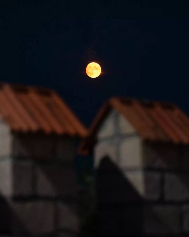 ��� ������� ����� ���������������� ����������? �������� ������ ������� ������� ��������