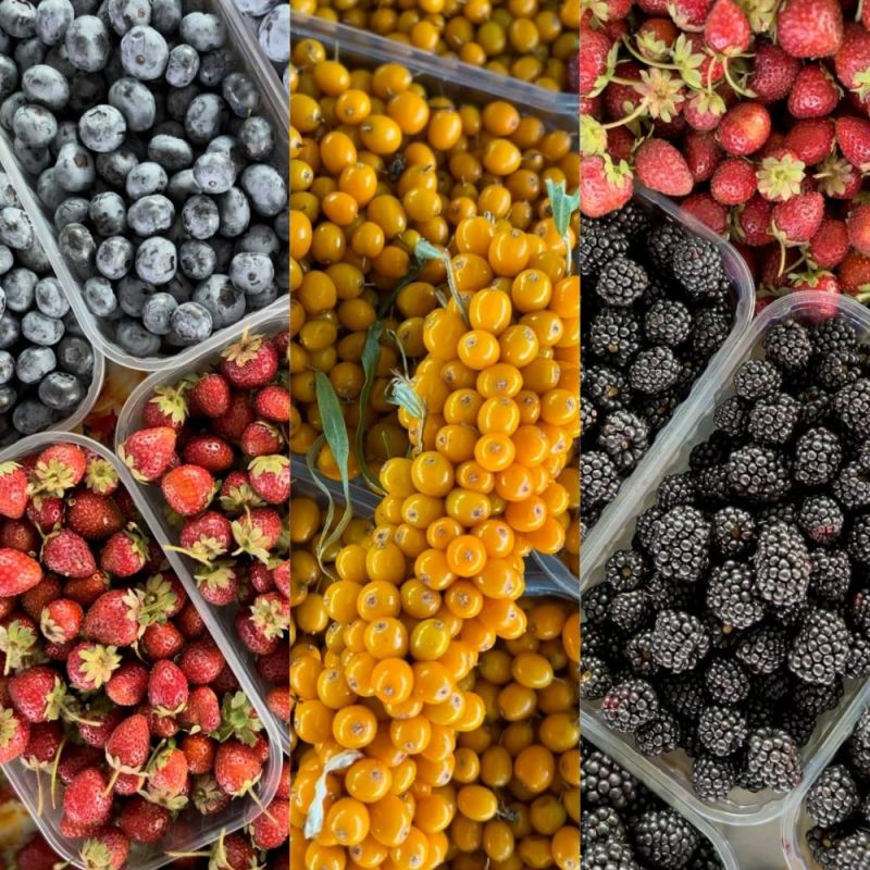 � ��������� ����� ���� ����� ���������� ������� � ��������