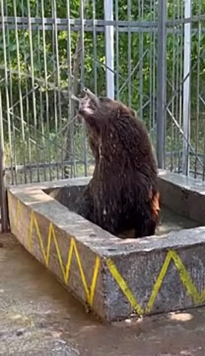 ��������� �� ���� ��� ���� ������� �� ������������� ��������