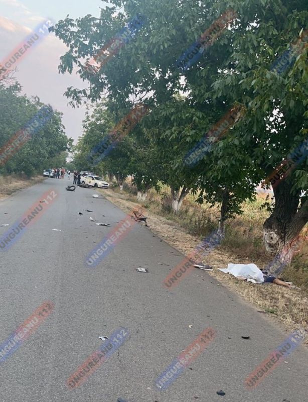 � ������� 28-������ ����������� � ���� ������� ����������� ������ �� �������� �������� �� ��������� � ����������� � �������� � ������