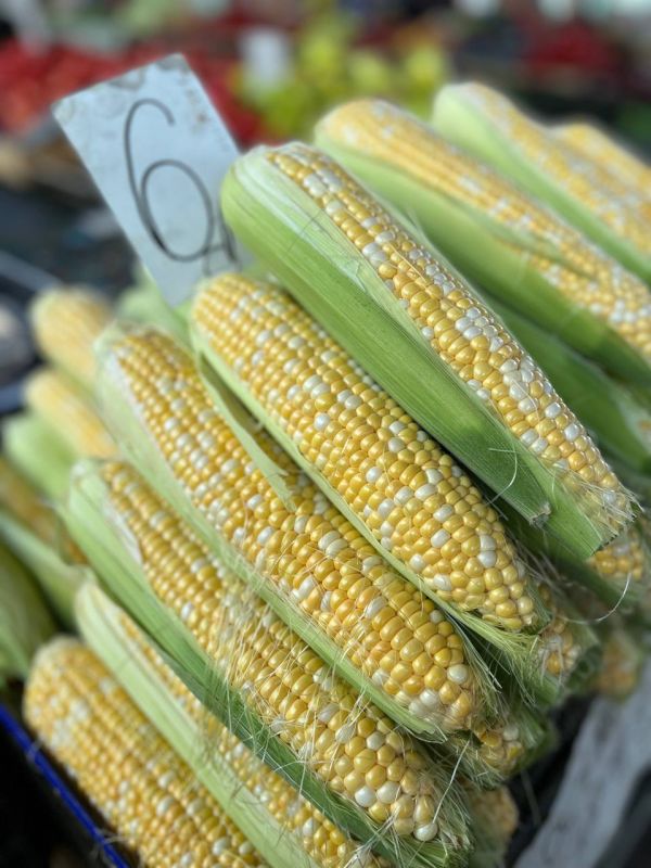 ��������� �������� �� 6 ������